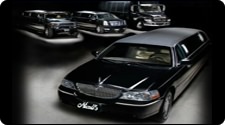 Nicolls Transportation, LLC