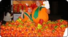 Plaquemines Parish Fair and Orange Festival