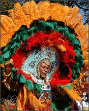 Mardi Gras Indian