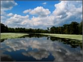 Bayou Barataria