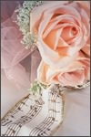 New Orleans Wedding Gifts